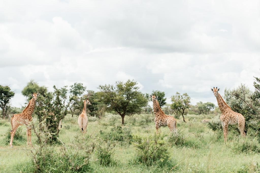 Monate Game Lodge Modimolle Eksteriør bilde