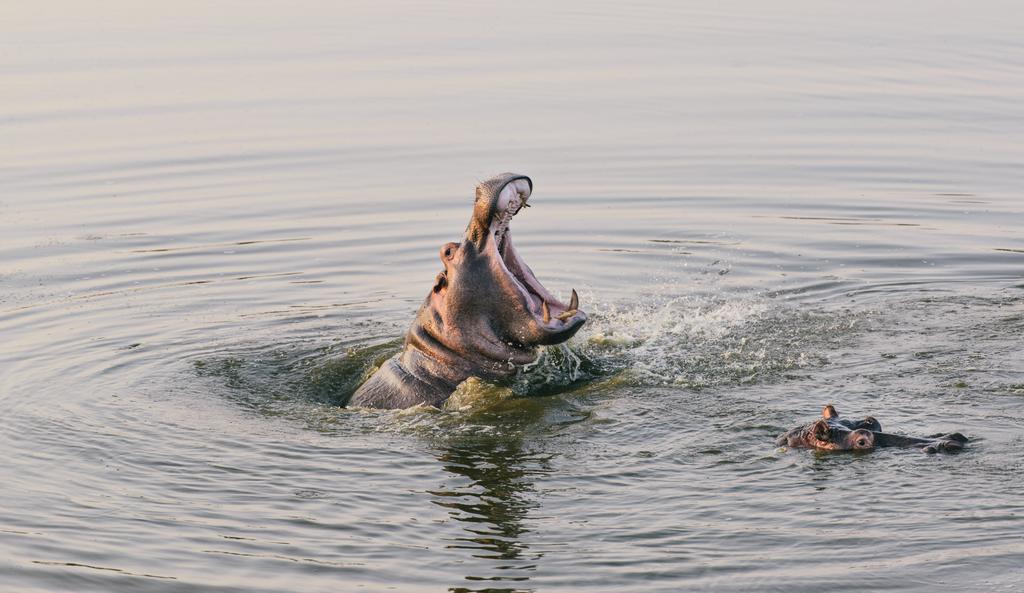 Monate Game Lodge Modimolle Eksteriør bilde